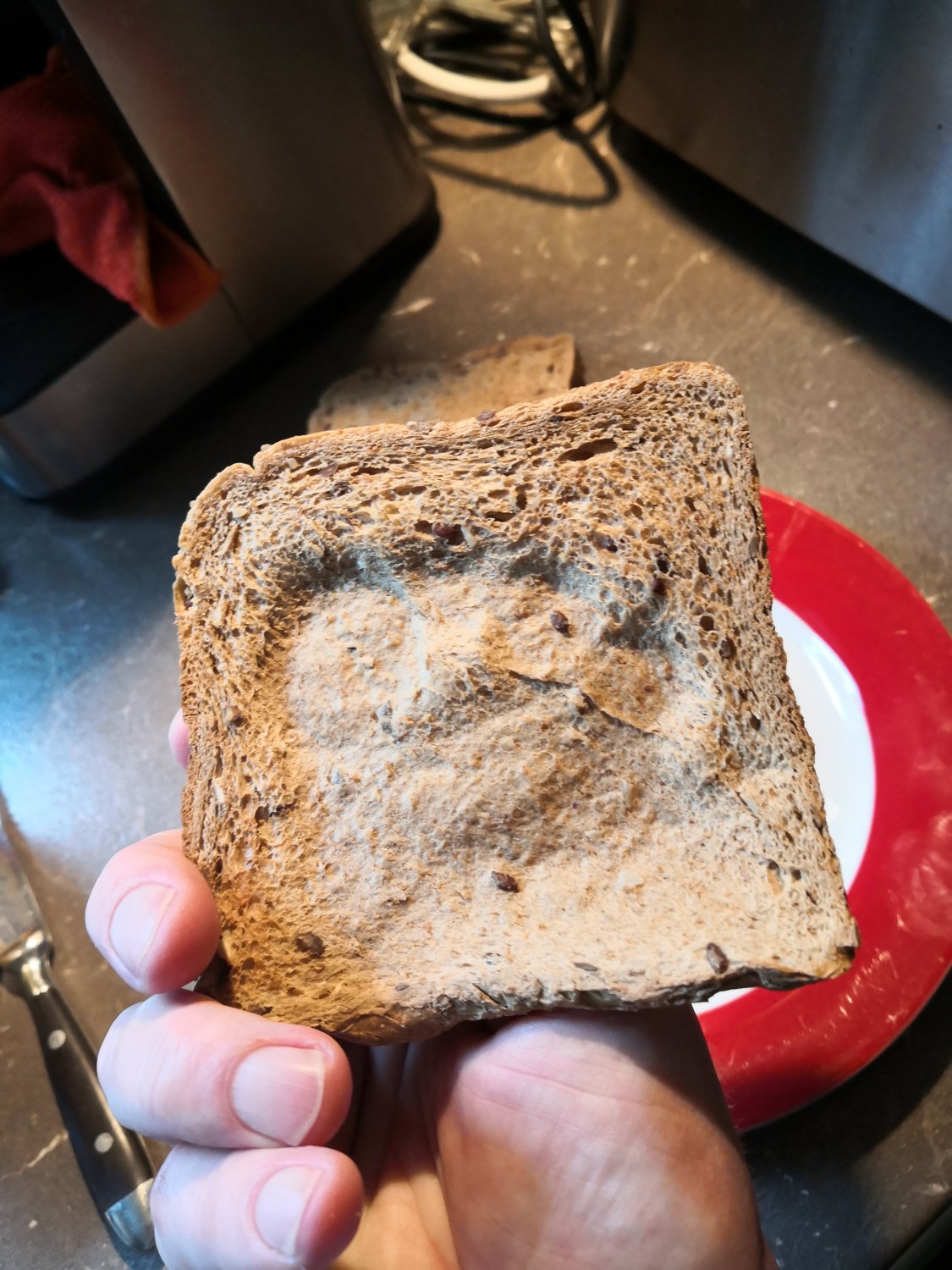 Big foot Daddy has made a breakfast toast for you! EAT IT! NOW! #9WiujVLO